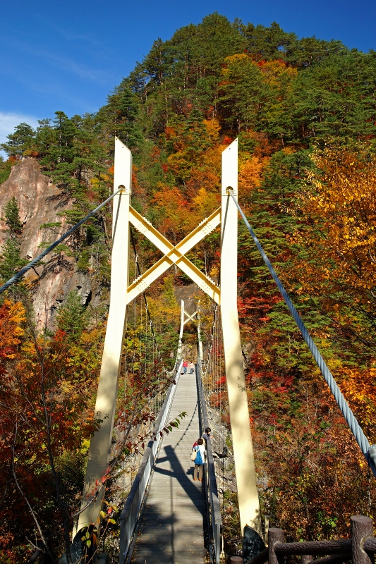 e0229455_18585104.jpg
