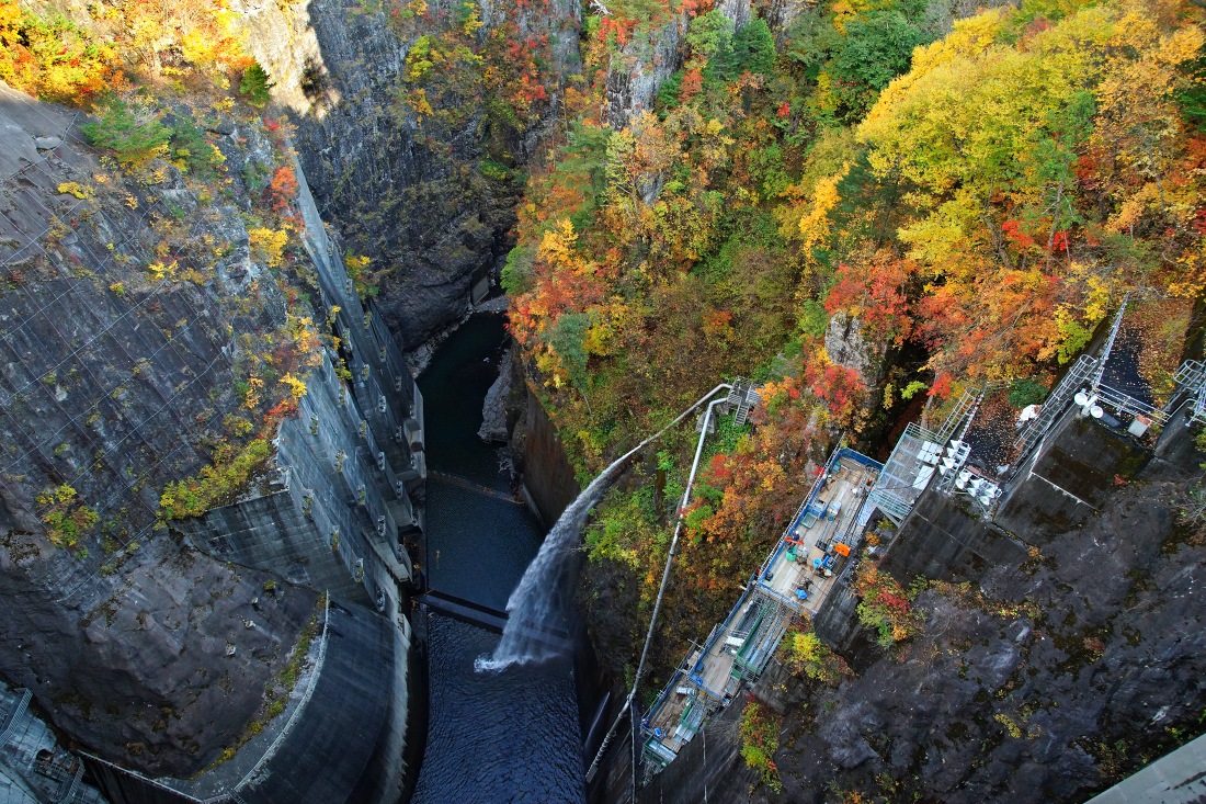 e0229455_18590809.jpg
