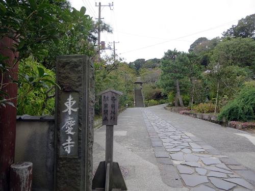 紅葉前の北鎌倉 東慶寺花散歩 お散歩アルバム 春日和花粉日和 紅葉前の北鎌倉 東慶寺花散歩 お散歩アルバム 春日和花粉日和