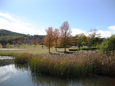c0190960_20331036.jpg