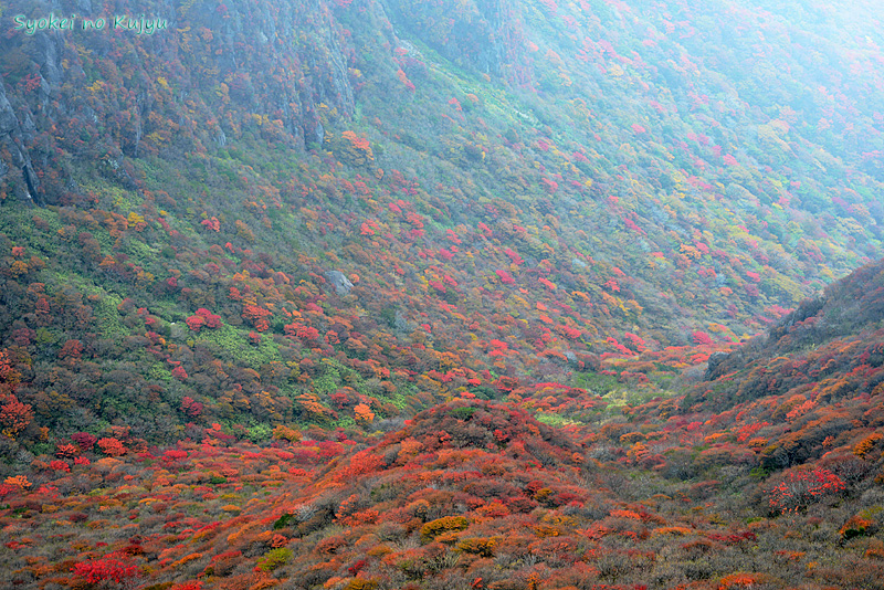 10月26日 三俣山・扇ヶ鼻周回_c0288262_1861645.jpg