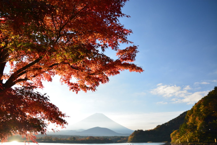 精進湖の紅葉_a0307264_13572395.jpg