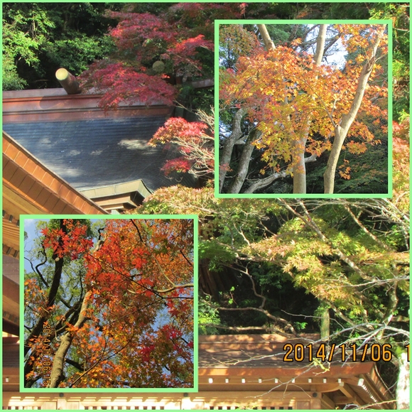 晩秋の三郡縦走路と竈門神社の紅葉。_f0016066_3121387.jpg