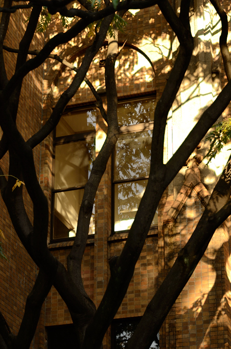 f0065768_3522958.jpg