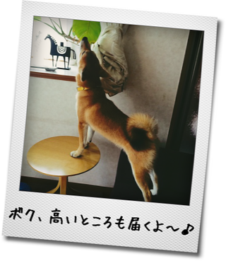 a0232774_11281675.png