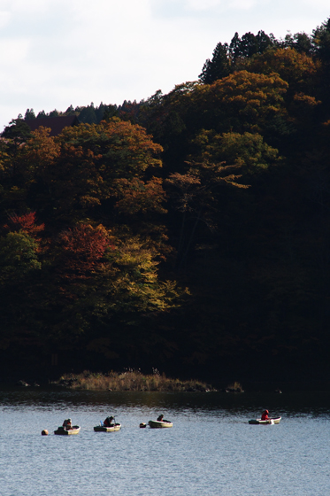 11/4　富士山紅葉-9_c0169275_2014942.jpg