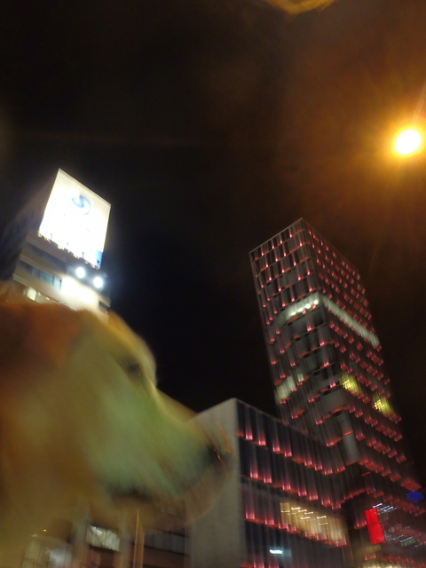 f0052277_1502328.jpg