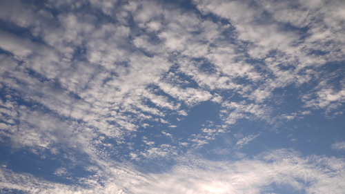 d0324385_11235394.jpg