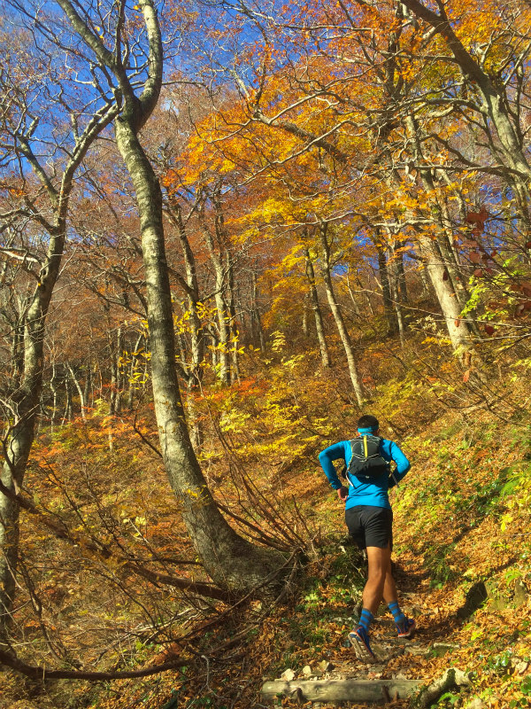 鳥取県 Mountain Running & Body Surfin\' Trip Day.1 矢筈ヶ山 Mountain Running 2014/11/04-05_b0220886_18403468.jpg