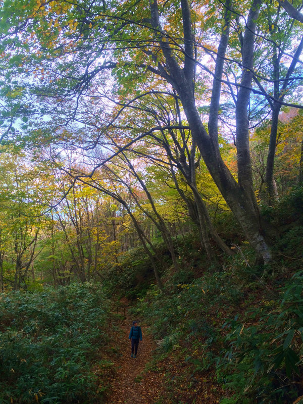 鳥取県 Mountain Running & Body Surfin\' Trip Day.1 矢筈ヶ山 Mountain Running 2014/11/04-05_b0220886_1845421.jpg