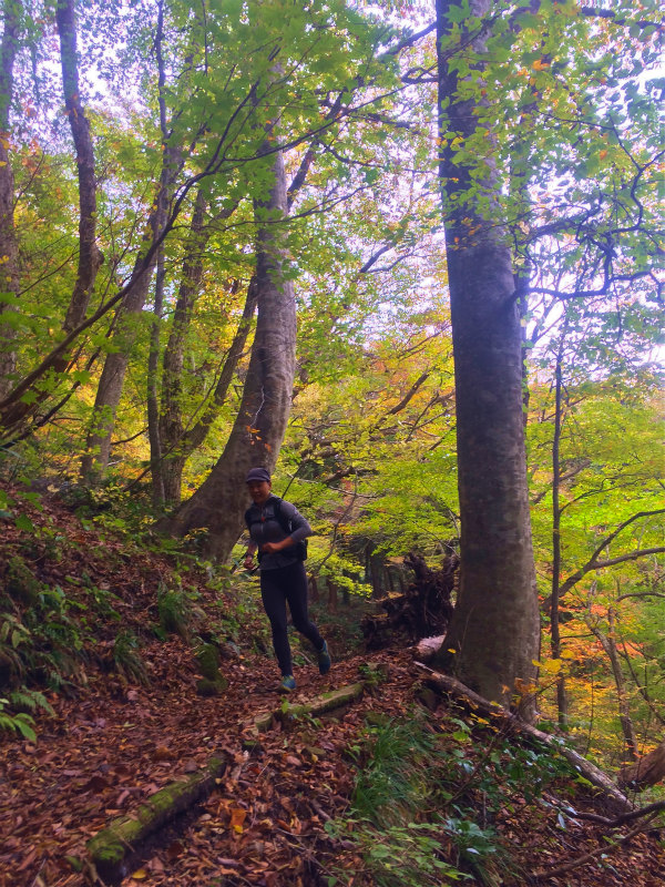 鳥取県 Mountain Running & Body Surfin\' Trip Day.1 矢筈ヶ山 Mountain Running 2014/11/04-05_b0220886_18482276.jpg
