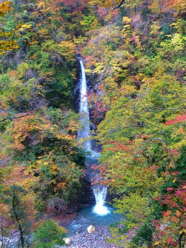 鳥取県 Mountain Running & Body Surfin\' Trip Day.1 矢筈ヶ山 Mountain Running 2014/11/04-05_b0220886_18482981.jpg