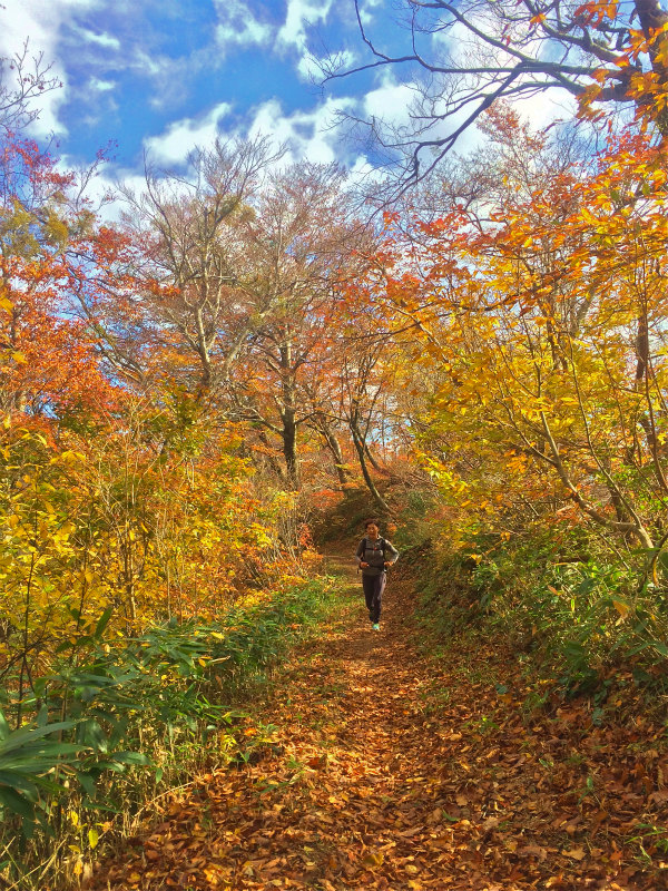 鳥取県 Mountain Running & Body Surfin\' Trip Day.1 矢筈ヶ山 Mountain Running 2014/11/04-05_b0220886_18495743.jpg