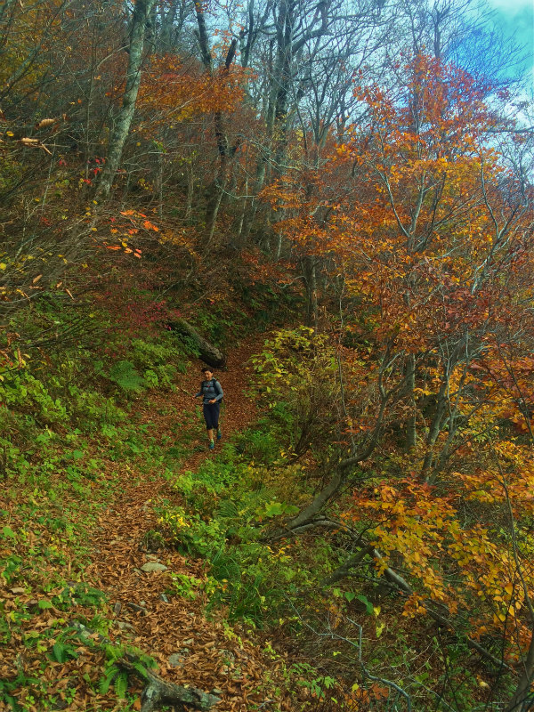 鳥取県 Mountain Running & Body Surfin\' Trip Day.1 矢筈ヶ山 Mountain Running 2014/11/04-05_b0220886_1851936.jpg