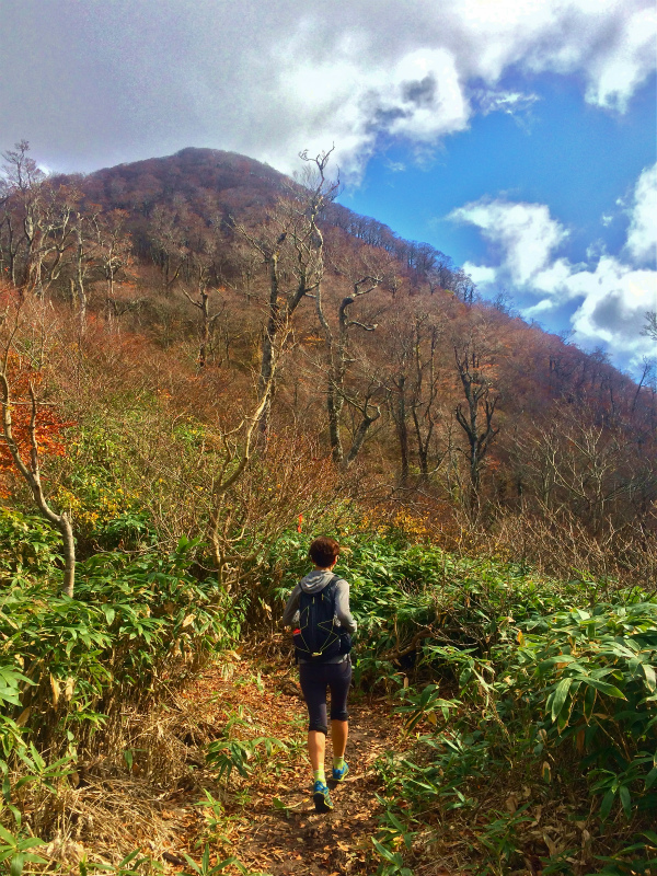 鳥取県 Mountain Running & Body Surfin\' Trip Day.1 矢筈ヶ山 Mountain Running 2014/11/04-05_b0220886_18542044.jpg