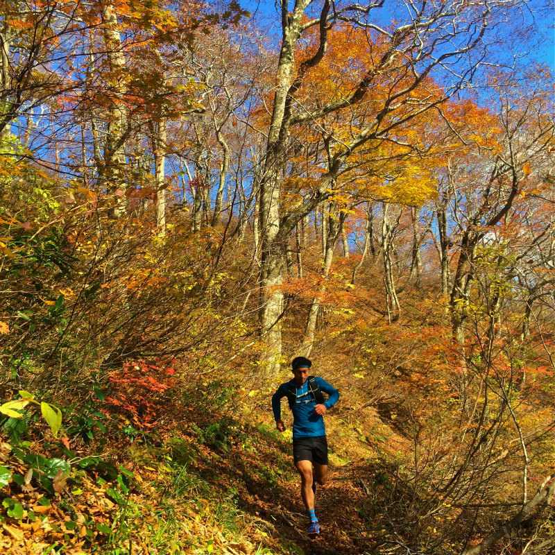 鳥取県 Mountain Running & Body Surfin\' Trip Day.1 矢筈ヶ山 Mountain Running 2014/11/04-05_b0220886_19102574.jpg