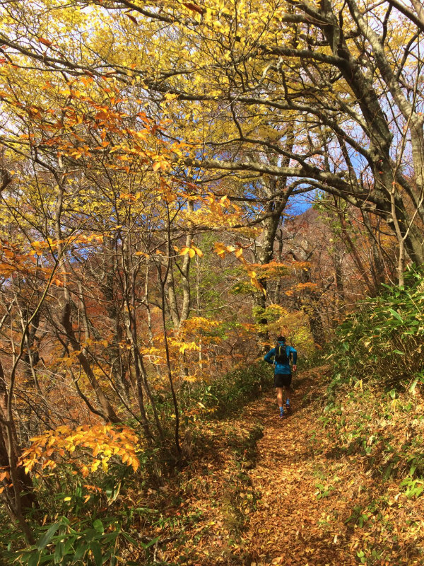 鳥取県 Mountain Running & Body Surfin\' Trip Day.1 矢筈ヶ山 Mountain Running 2014/11/04-05_b0220886_19114314.jpg