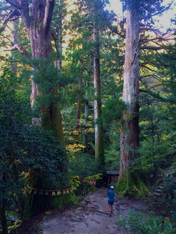 鳥取県 Mountain Running & Body Surfin\' Trip Day.2 三徳山投入堂 Mountain Running 2014/11/04-05 _b0220886_19364832.jpg