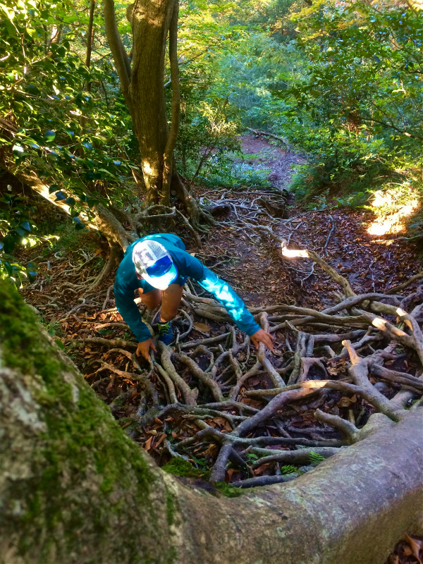 鳥取県 Mountain Running & Body Surfin\' Trip Day.2 三徳山投入堂 Mountain Running 2014/11/04-05 _b0220886_19402282.jpg