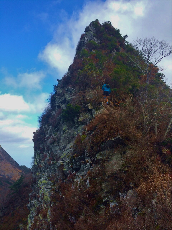 鳥取県 Mountain Running & Body Surfin\' Trip Day.1 矢筈ヶ山 Mountain Running 2014/11/04-05_b0220886_1953220.jpg