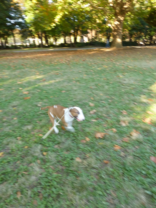 b0349589_1555944.jpg