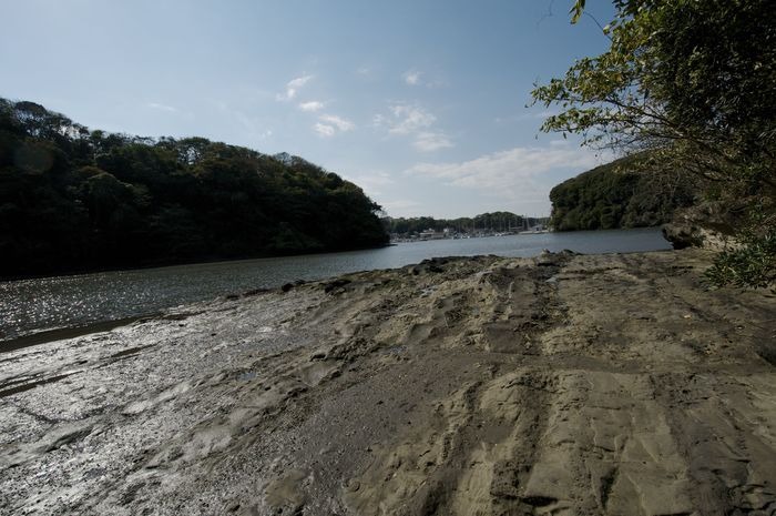 b0217090_20115340.jpg