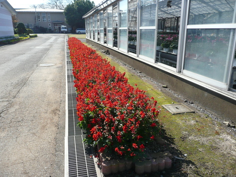 2014年11月15日　i茨城県立総合高等学校修学旅行事前平和学習　その8_d0249595_2020967.jpg