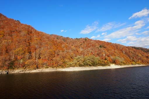 e0160595_23304518.jpg