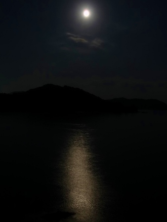 a0125598_21593911.jpg