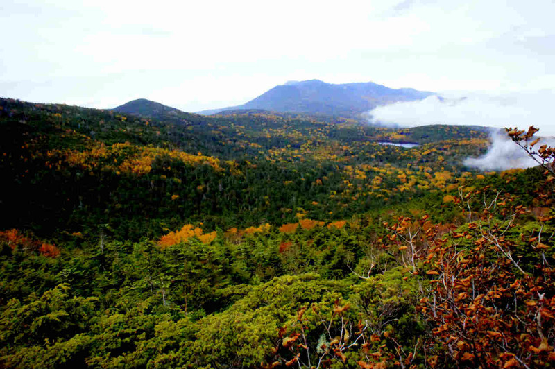 【長野】北八ヶ岳“にゅう”より_c0348200_16165465.jpg