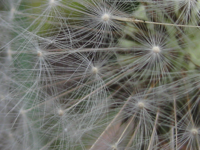 f0236201_10133680.jpg