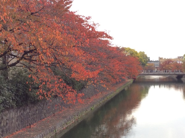 紅葉の京都へ_b0220002_16594021.jpg