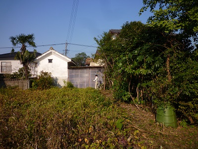 a0156611_11362516.jpg