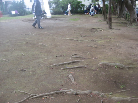 b0183111_1228593.jpg