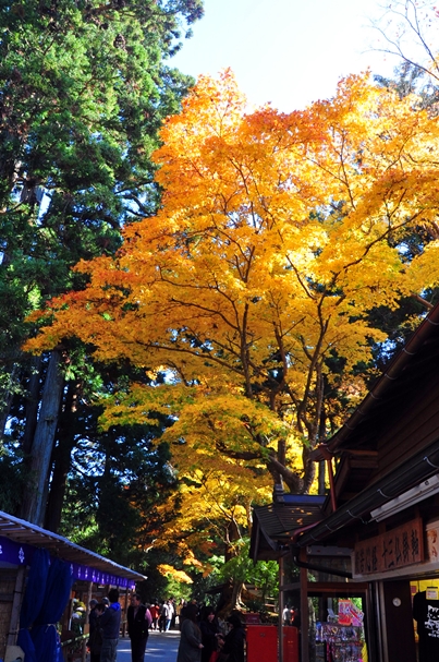 世界遺産・平泉の紅葉２０１４_d0179113_00245946.jpg