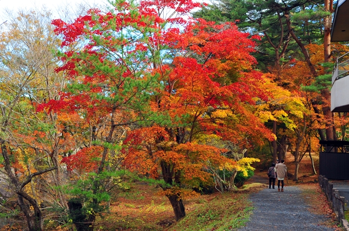 世界遺産・平泉の紅葉２０１４_d0179113_00253716.jpg