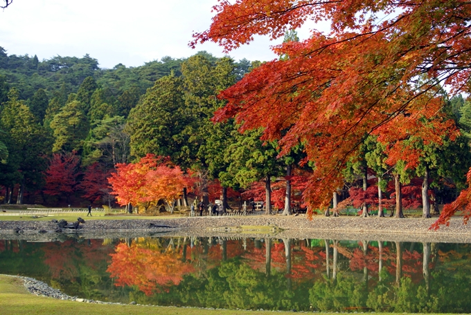 世界遺産・平泉の紅葉２０１４_d0179113_00261536.jpg