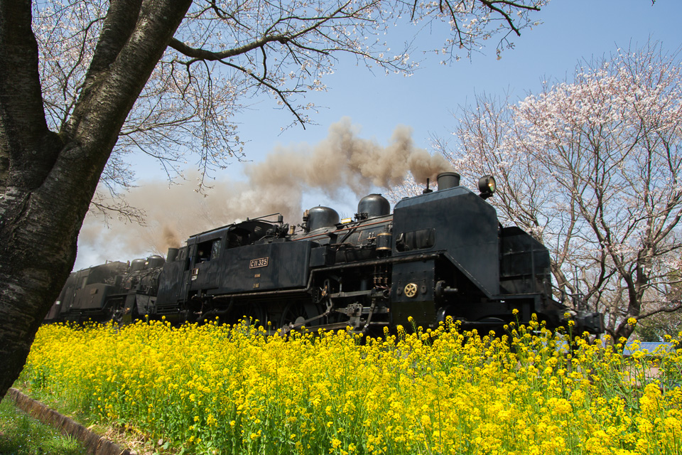 真岡鉄道の春のSL二重連_b0010915_20432232.jpg