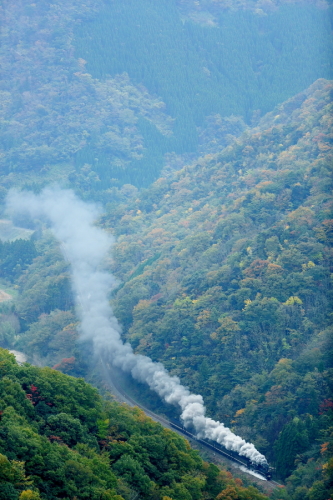 SL山口号　11月8日　9522_f0333821_21064153.jpg