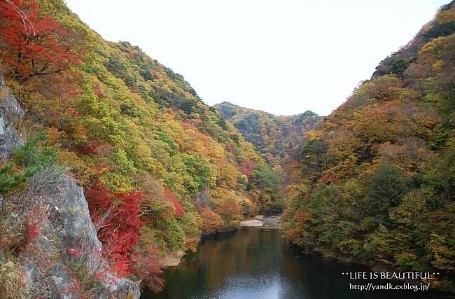 色鮮やかな秋の山_d0083623_23433982.jpg