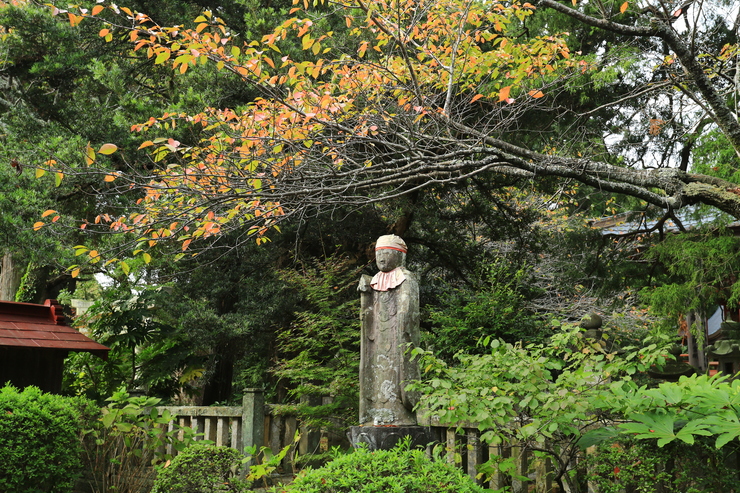 c0104227_7131568.jpg