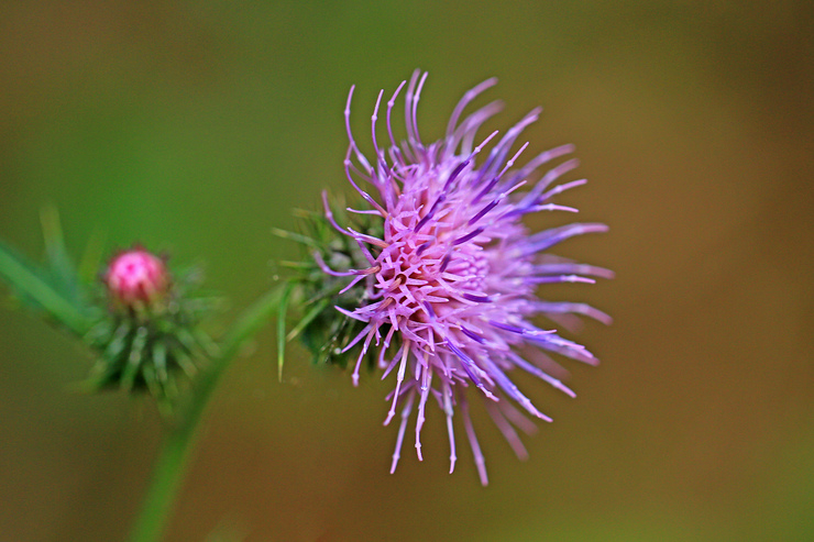 c0104227_763291.jpg