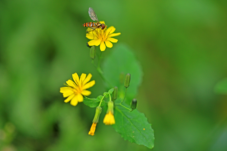 c0104227_771541.jpg