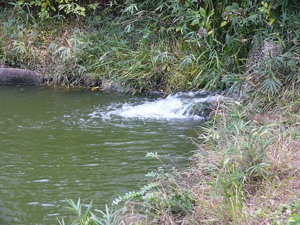 b0299930_13305837.jpg