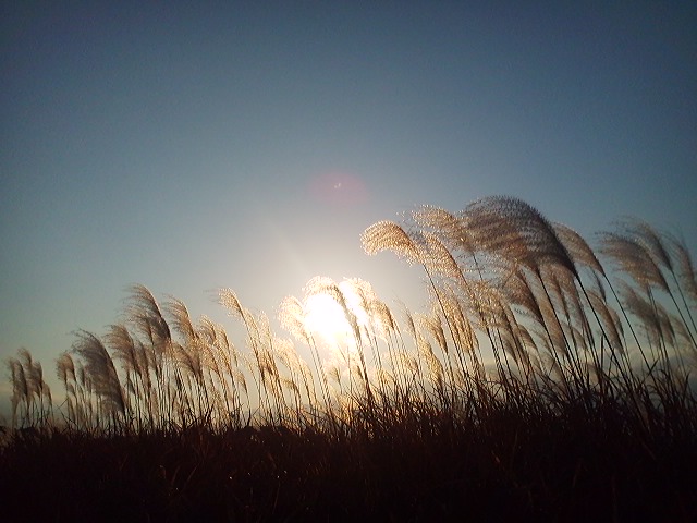 a0272241_22383439.jpg