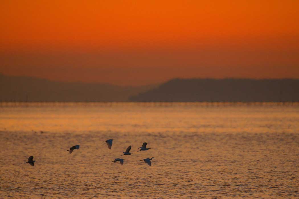 だるま夕陽③（宇土半島編）_d0238245_16264094.jpg