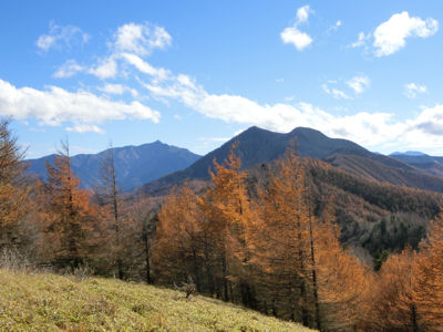 f0019247_01337.jpg