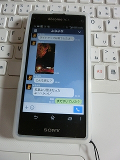 紅葉が見ごろ  なぜ、秋だけ「深まる」のか？_d0138650_8144473.jpg