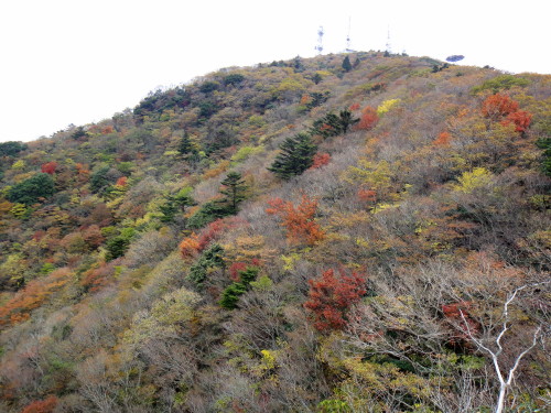 ２０１４年１１月８日　五家原岳_c0179351_20525089.jpg