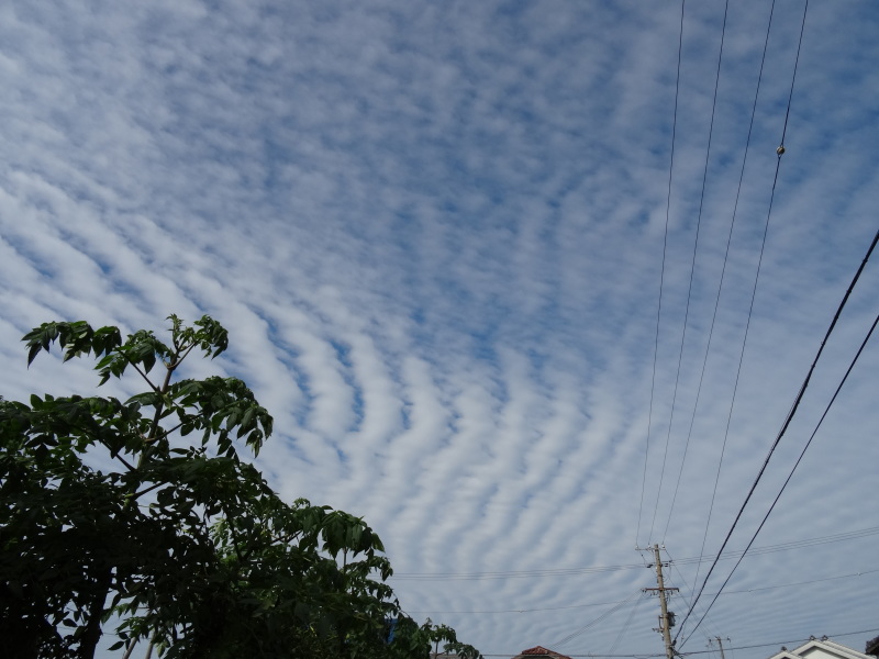 c0108460_18005759.jpg
